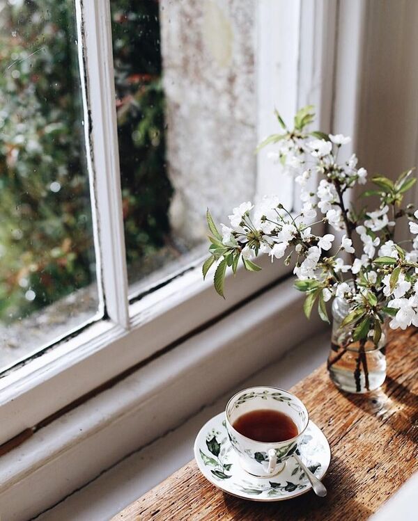 Taza tibia y planta junto a una ventana, ideal para una pausa de respiración